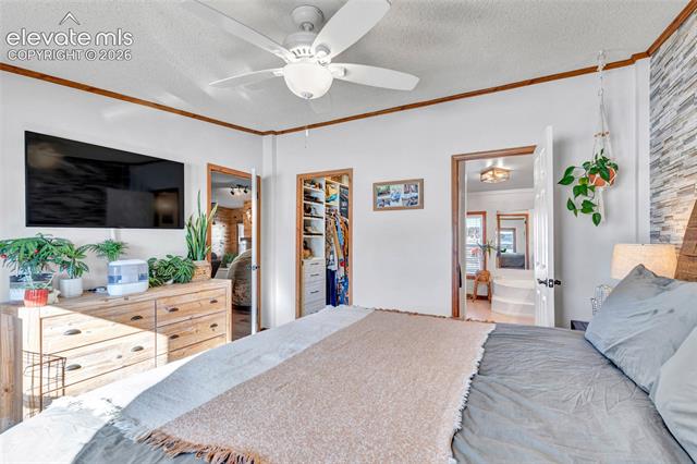 MLS Image for 83  Ridge Point  ,Divide, Colorado