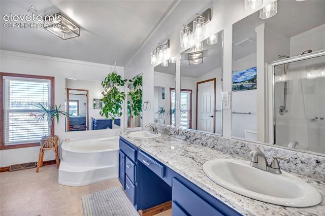 MLS Image for 83  Ridge Point  ,Divide, Colorado