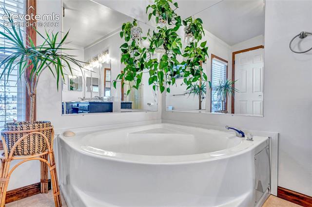 MLS Image for 83  Ridge Point  ,Divide, Colorado