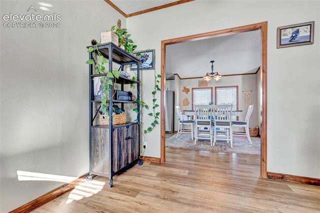 MLS Image for 83  Ridge Point  ,Divide, Colorado