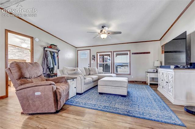 MLS Image for 83  Ridge Point  ,Divide, Colorado