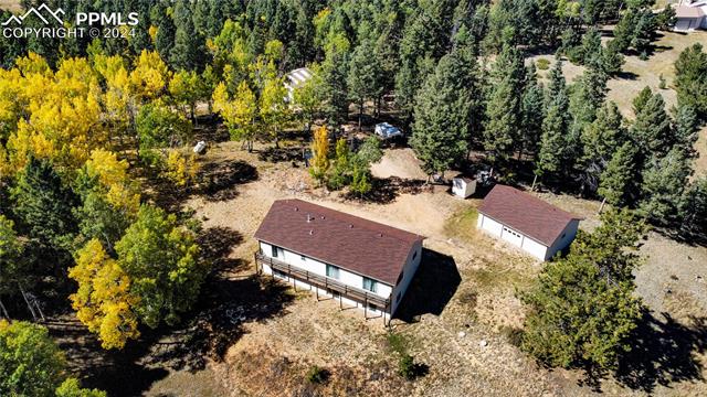 MLS Image for 1054  Cantiberry  ,Divide, Colorado