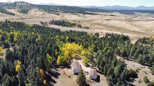 MLS Image for 1054  Cantiberry  ,Divide, Colorado