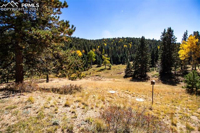 MLS Image for 1054  Cantiberry  ,Divide, Colorado