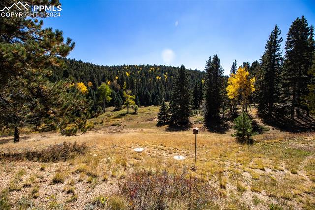 MLS Image for 1054  Cantiberry  ,Divide, Colorado