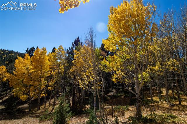 MLS Image for 1054  Cantiberry  ,Divide, Colorado