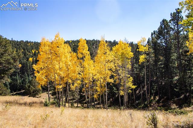 MLS Image for 1054  Cantiberry  ,Divide, Colorado