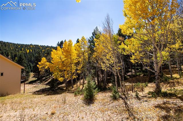 MLS Image for 1054  Cantiberry  ,Divide, Colorado