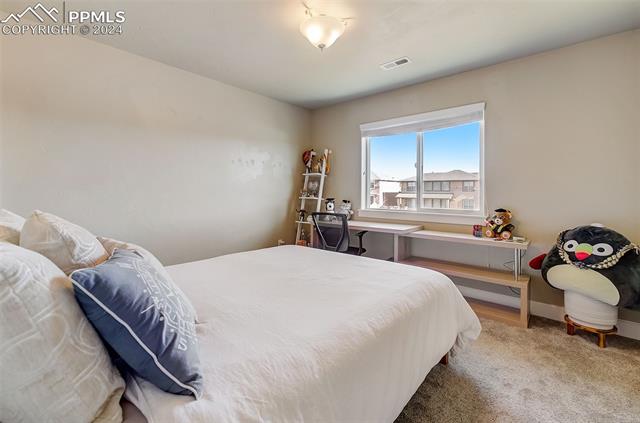 MLS Image for 1165  Diamond Rim  ,Colorado Springs, Colorado