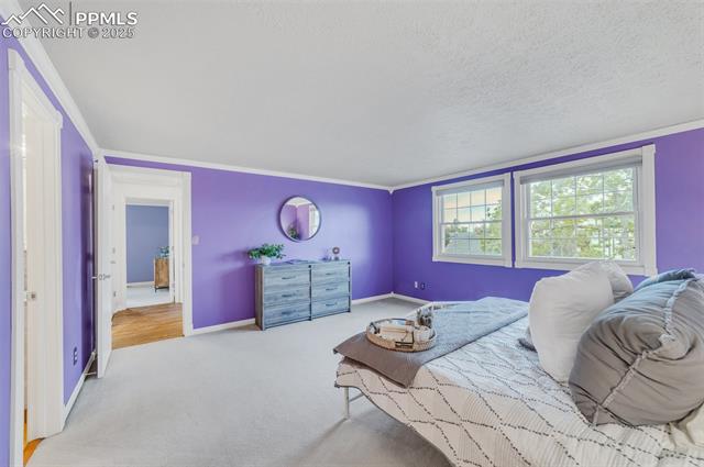 MLS Image for 2880  Frazier  ,Colorado Springs, Colorado