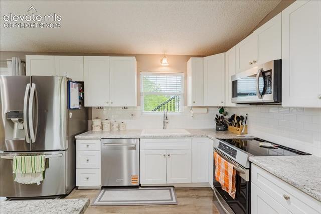 MLS Image for 3640  Trailspur  ,Colorado Springs, Colorado