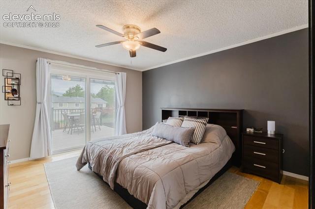 MLS Image for 3640  Trailspur  ,Colorado Springs, Colorado