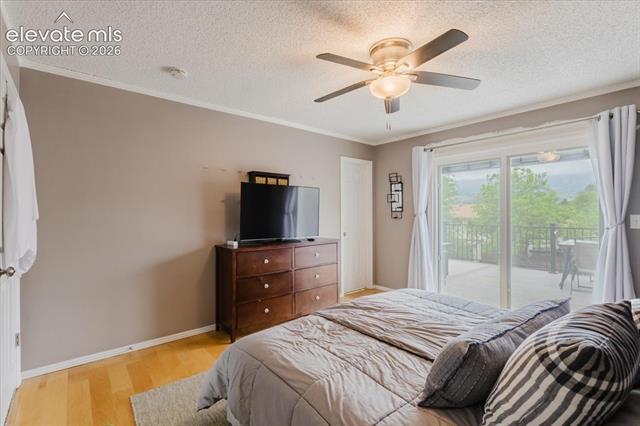 MLS Image for 3640  Trailspur  ,Colorado Springs, Colorado