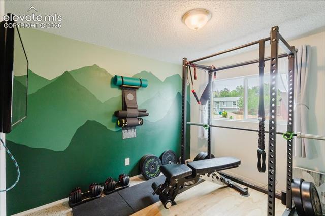 MLS Image for 3640  Trailspur  ,Colorado Springs, Colorado