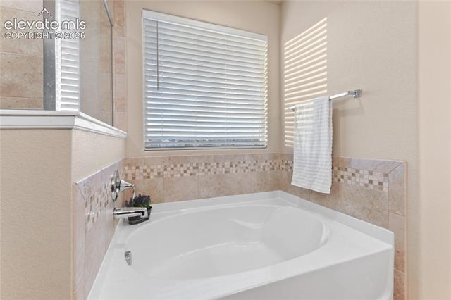 MLS Image for 9728  Wando  ,Colorado Springs, Colorado