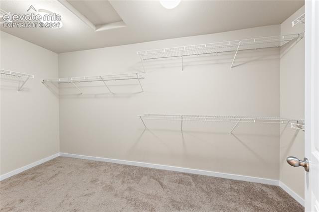 MLS Image for 9728  Wando  ,Colorado Springs, Colorado