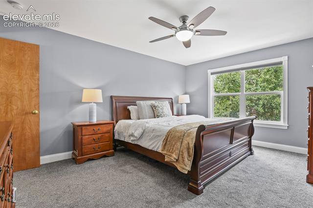 MLS Image for 4310  Morning Glory  ,Colorado Springs, Colorado