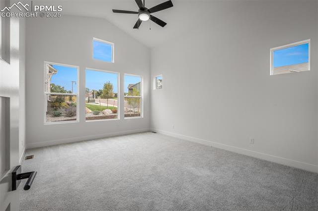 MLS Image for 17209  Alsike Clover  ,Monument, Colorado