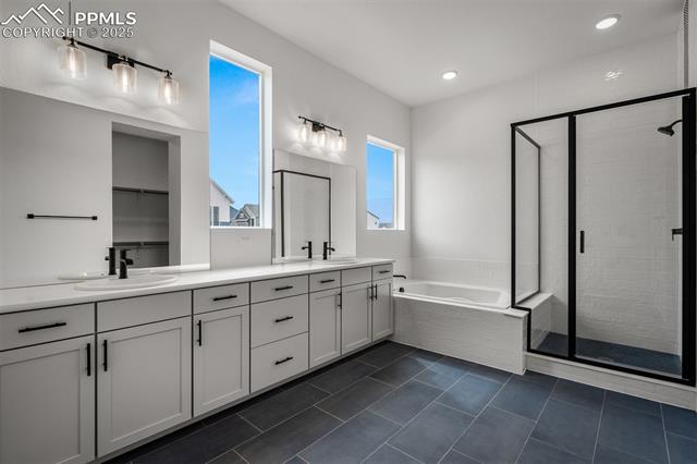 MLS Image for 17209  Alsike Clover  ,Monument, Colorado