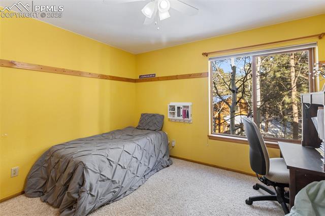 MLS Image for 747  Pinon Ridge  ,Woodland Park, Colorado