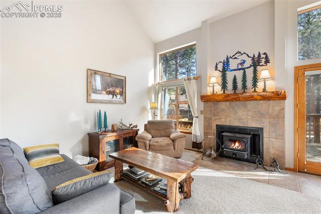 MLS Image for 747  Pinon Ridge  ,Woodland Park, Colorado
