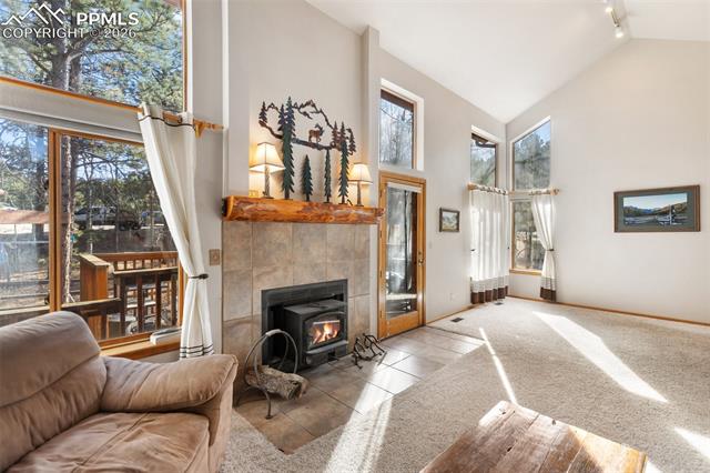 MLS Image for 747  Pinon Ridge  ,Woodland Park, Colorado