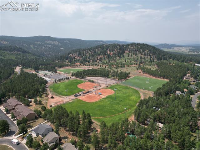 MLS Image for 747  Pinon Ridge  ,Woodland Park, Colorado