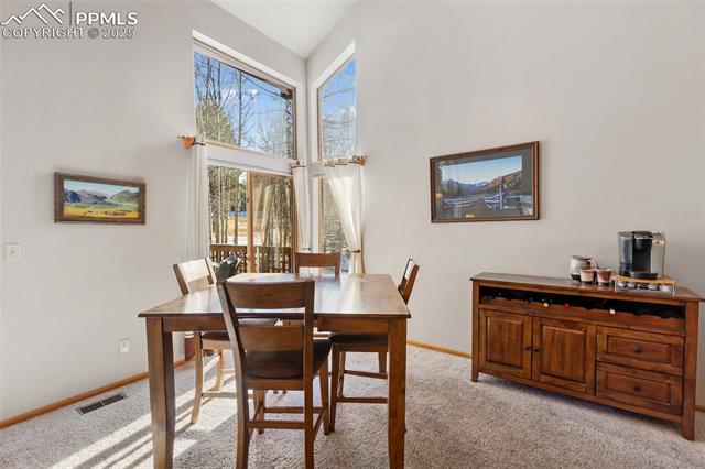 MLS Image for 747  Pinon Ridge  ,Woodland Park, Colorado