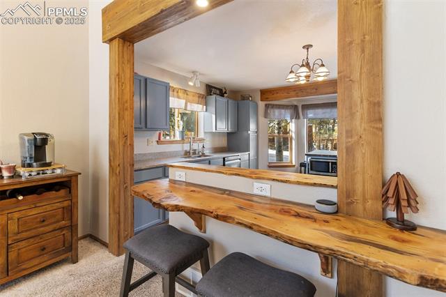 MLS Image for 747  Pinon Ridge  ,Woodland Park, Colorado