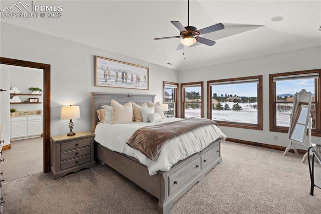 MLS Image for 16482  Timber Meadow  ,Colorado Springs, Colorado