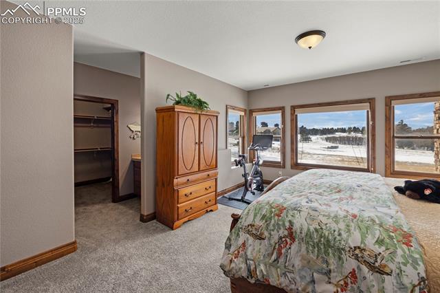 MLS Image for 16482  Timber Meadow  ,Colorado Springs, Colorado