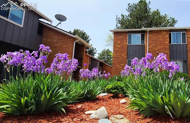 MLS Image for 1625 N Murray  118 ,Colorado Springs, Colorado