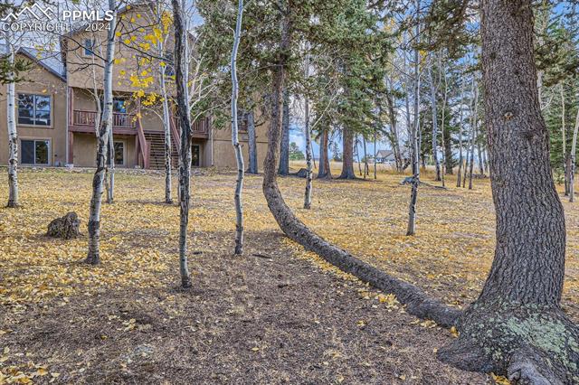 MLS Image for 182  Joshua  ,Divide, Colorado