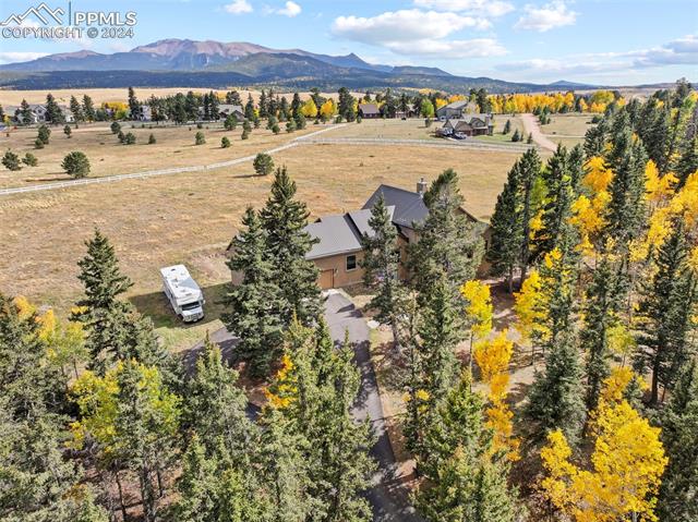 MLS Image for 182  Joshua  ,Divide, Colorado