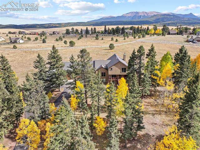 MLS Image for 182  Joshua  ,Divide, Colorado