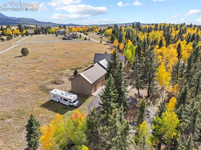 MLS Image for 182  Joshua  ,Divide, Colorado