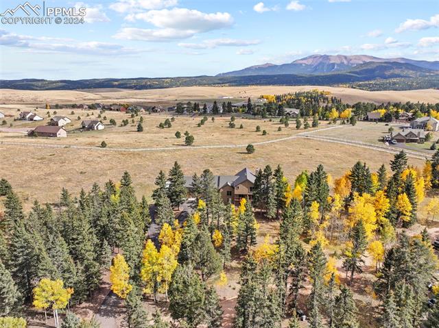 MLS Image for 182  Joshua  ,Divide, Colorado