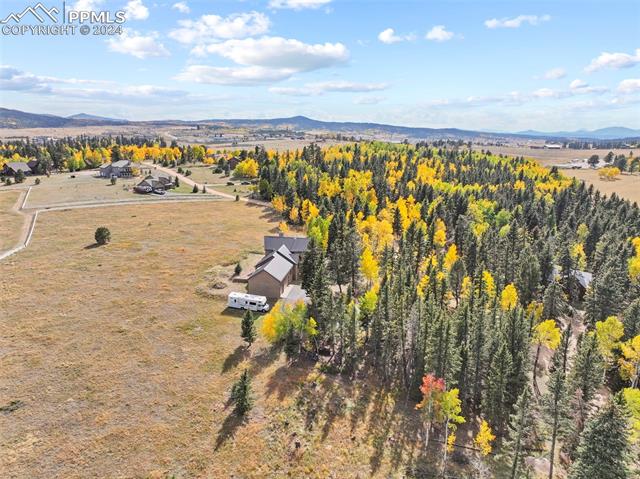 MLS Image for 182  Joshua  ,Divide, Colorado