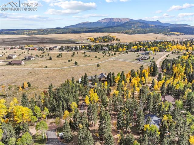 MLS Image for 182  Joshua  ,Divide, Colorado