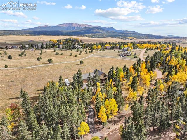 MLS Image for 182  Joshua  ,Divide, Colorado