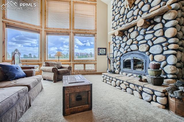 MLS Image for 182  Joshua  ,Divide, Colorado