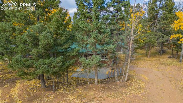 MLS Image for 53  Iris  ,Woodland Park, Colorado