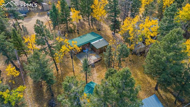 MLS Image for 53  Iris  ,Woodland Park, Colorado