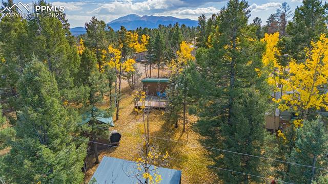 MLS Image for 53  Iris  ,Woodland Park, Colorado