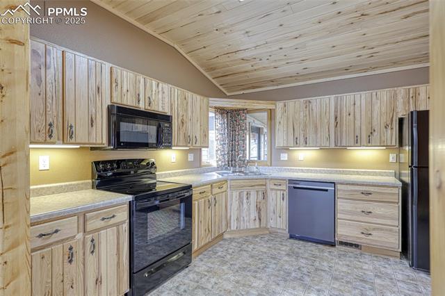 MLS Image for 62  Cheyenne  ,Florissant, Colorado