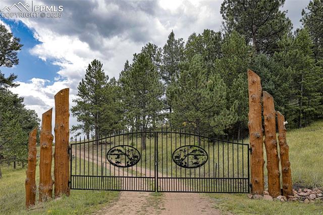 MLS Image for 62  Cheyenne  ,Florissant, Colorado