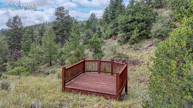 MLS Image for 62  Cheyenne  ,Florissant, Colorado