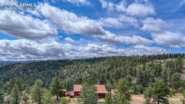 MLS Image for 62  Cheyenne  ,Florissant, Colorado