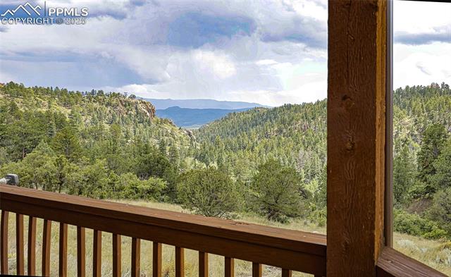 MLS Image for 62  Cheyenne  ,Florissant, Colorado