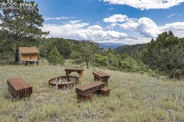 MLS Image for 62  Cheyenne  ,Florissant, Colorado